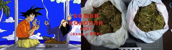 СК Белокуриха